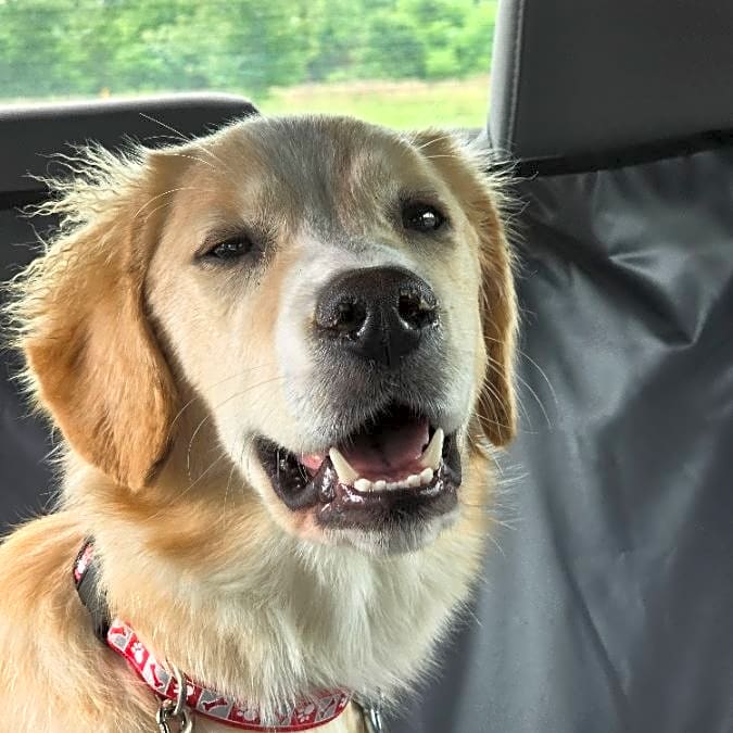 Photo of Star