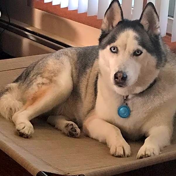 Photo of Blue