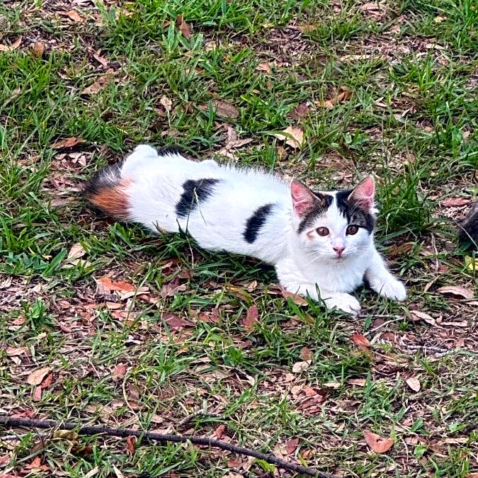 Photo of Cynthia