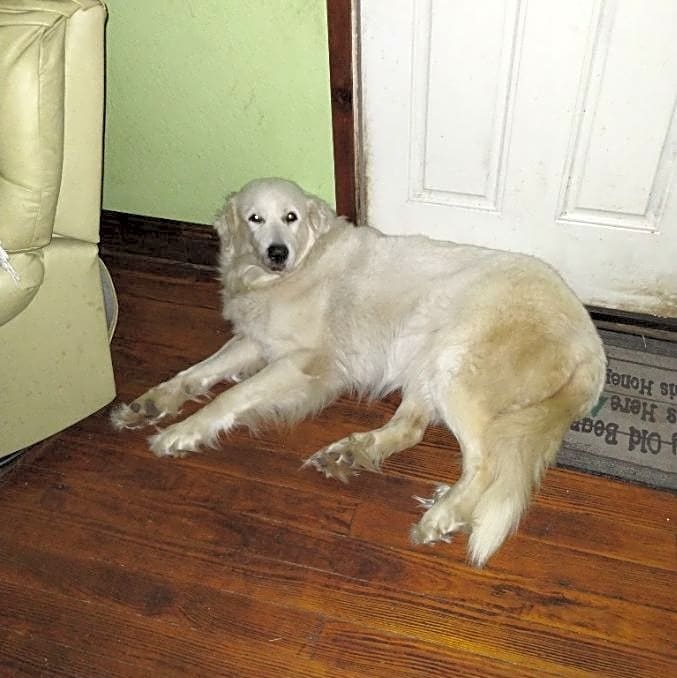 Photo of Arya