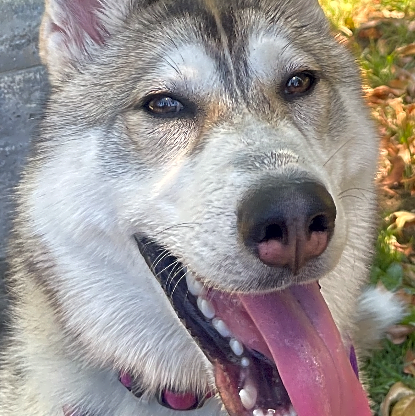 Photo of Spirit