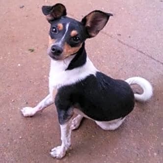 Photo of Diamond
