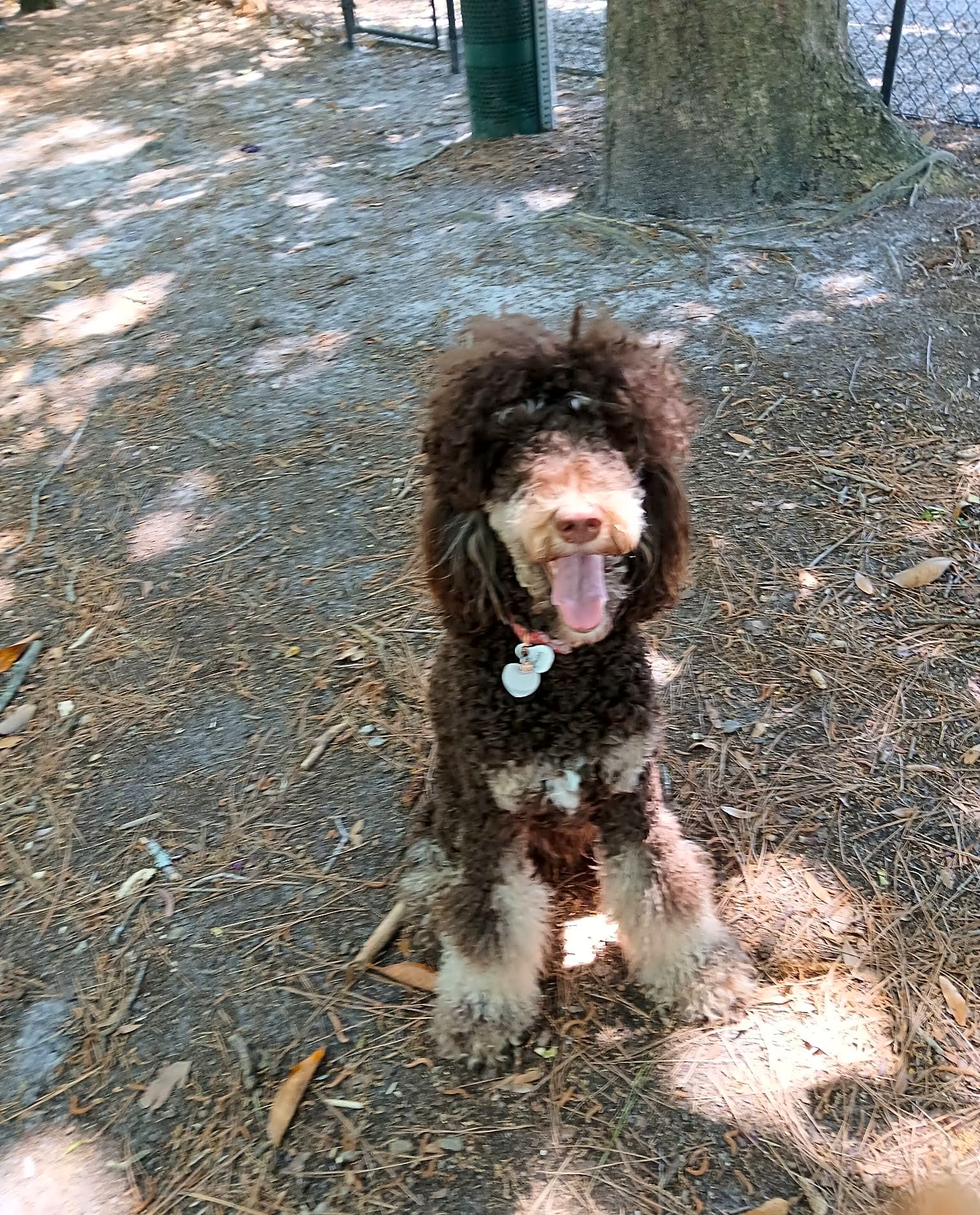 Photo of Reba