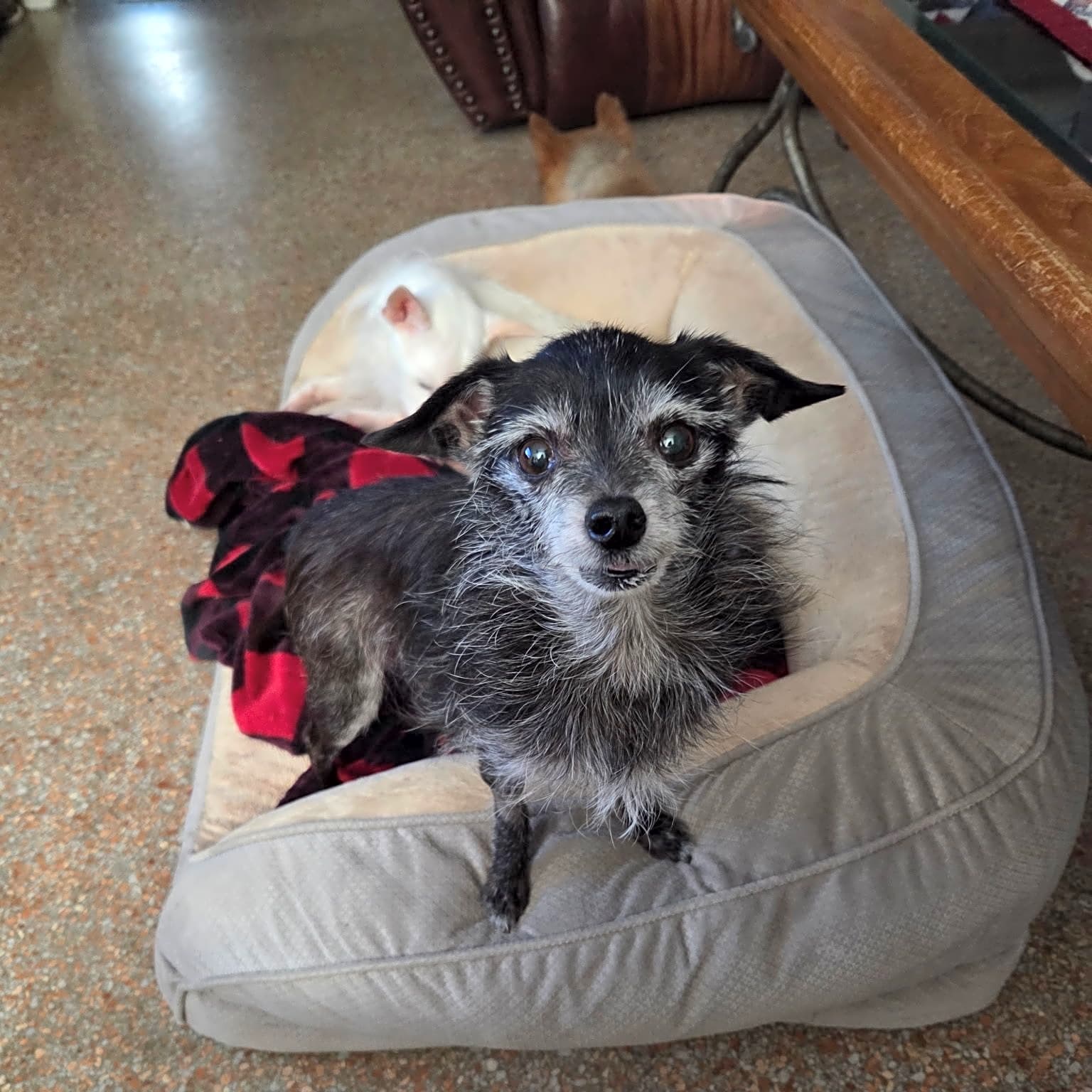 Photo of Pepper June
