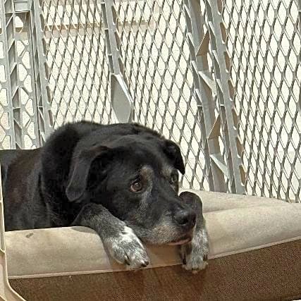 Photo of Kody
