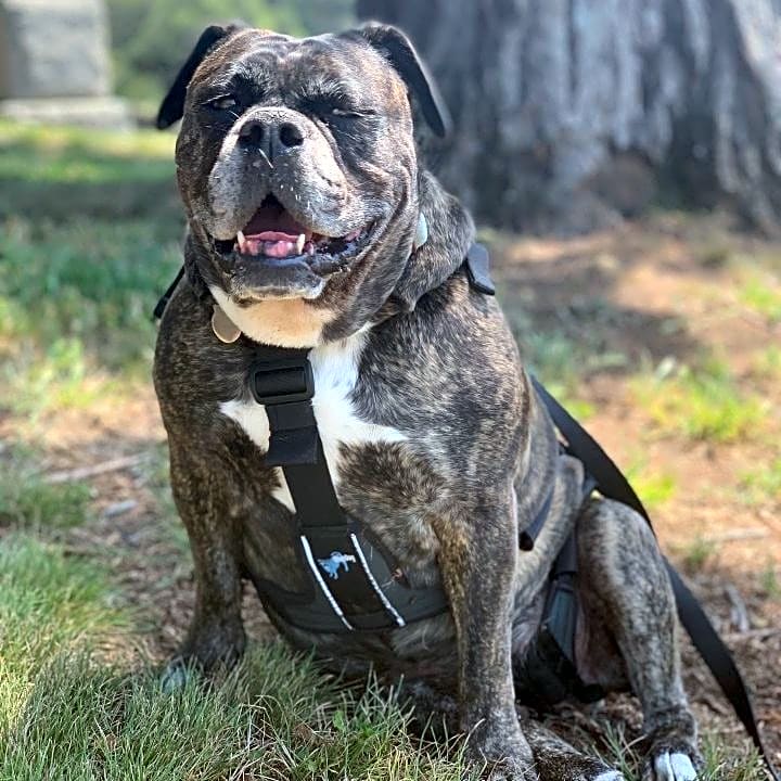 Photo of Cleo