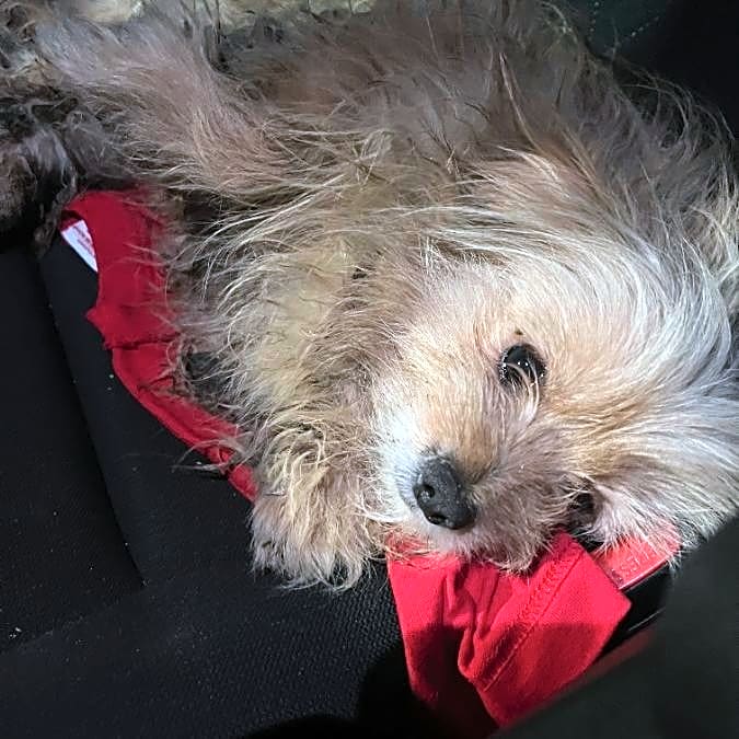 Photo of Milagro