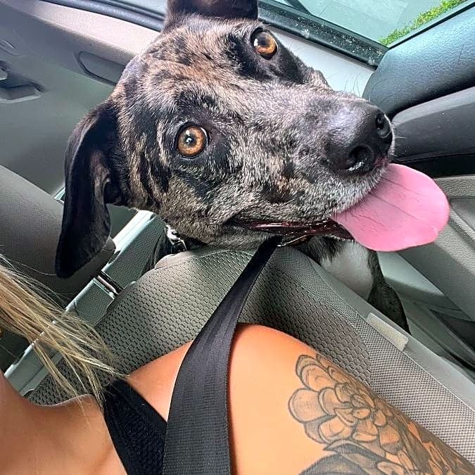 Photo of Pepper