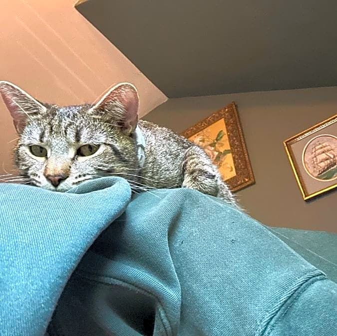 Photo of Lady