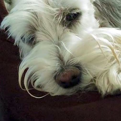 Photo of Heidi