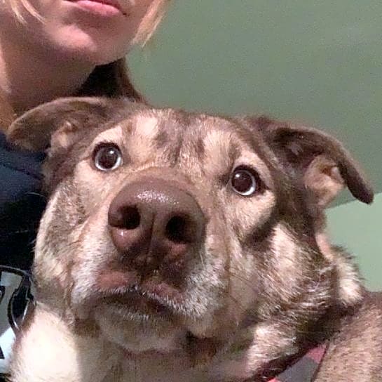 Photo of Lena