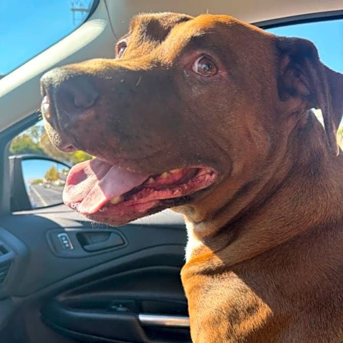 Photo of Zeus