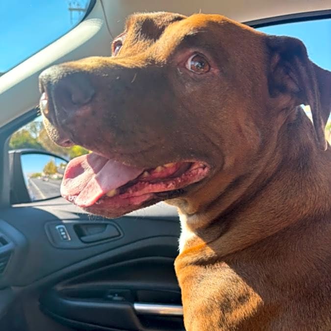 Photo of Zeus