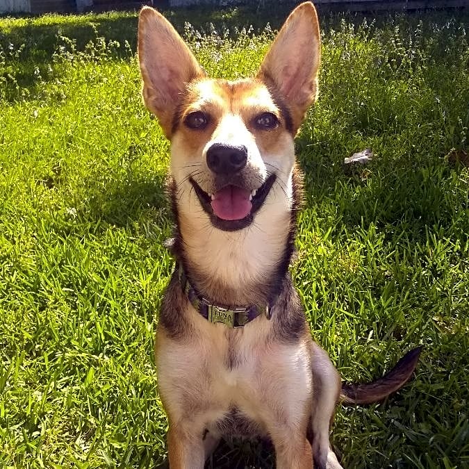 Photo of Luna