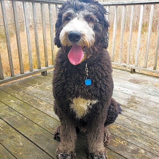 Photo of Benny