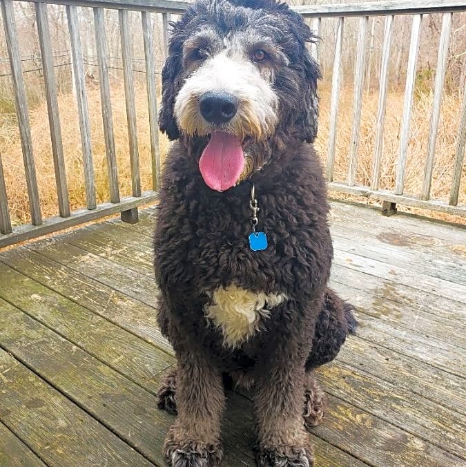 Photo of Benny