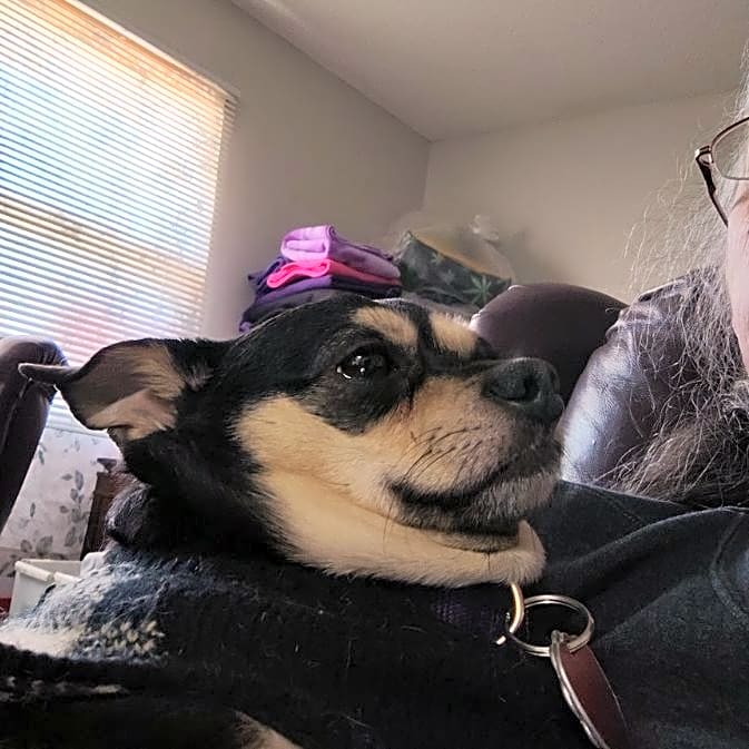 Photo of Tazi Jay