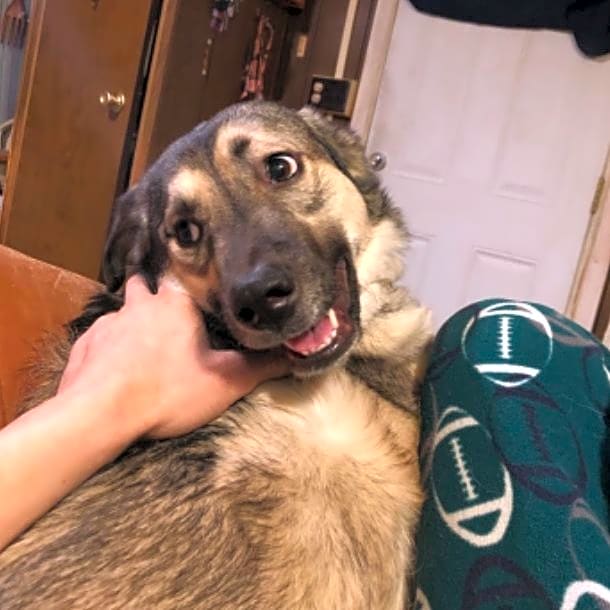 Photo of Roxy