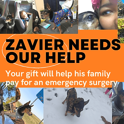 Photo of Zavier