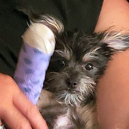 Photo of Button