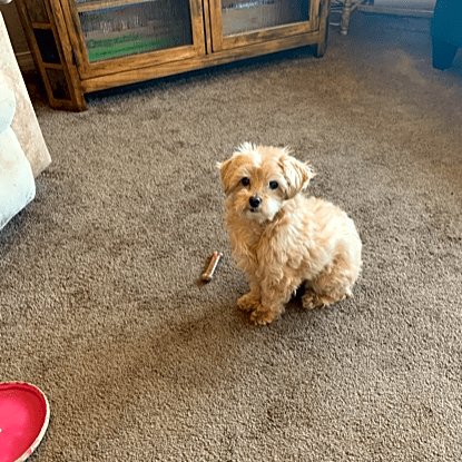 Photo of Sugarbaby