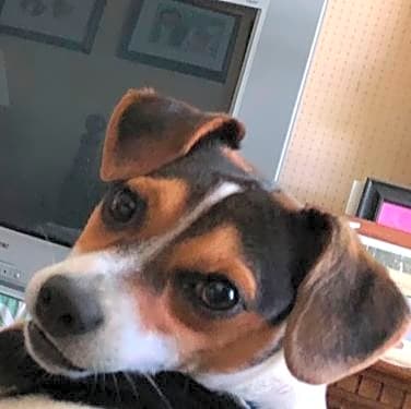Photo of Jack