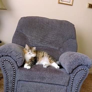 Photo of Oliver