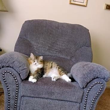 Photo of Oliver