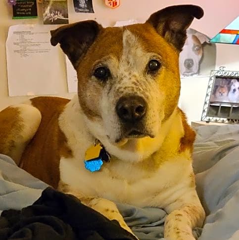 Photo of Jake