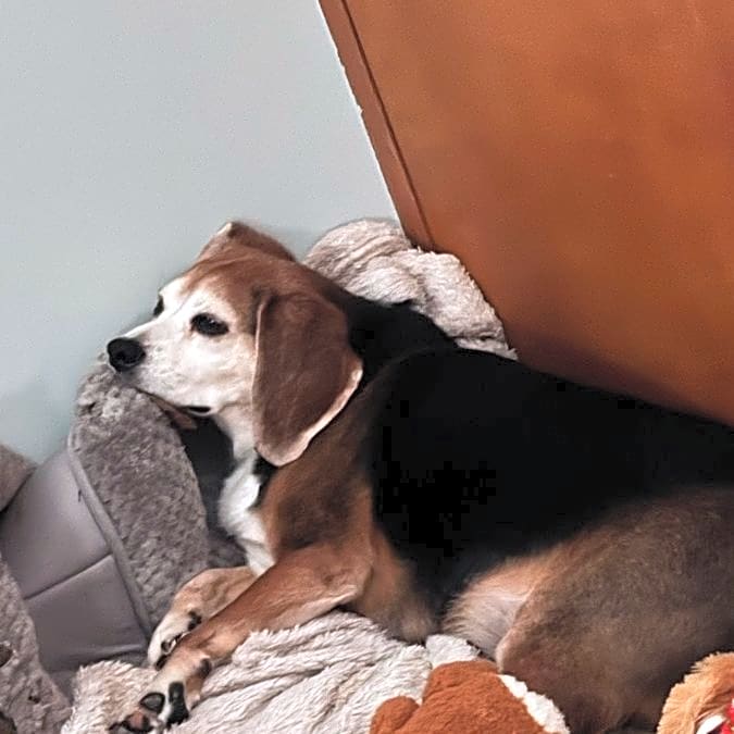 Photo of Theo