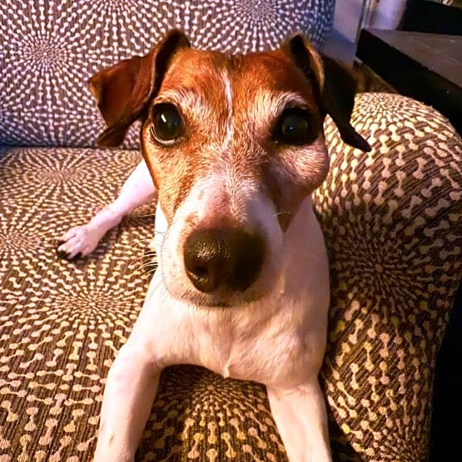 Photo of Lexi