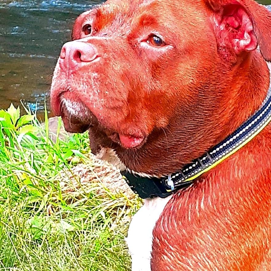 Photo of Georgia