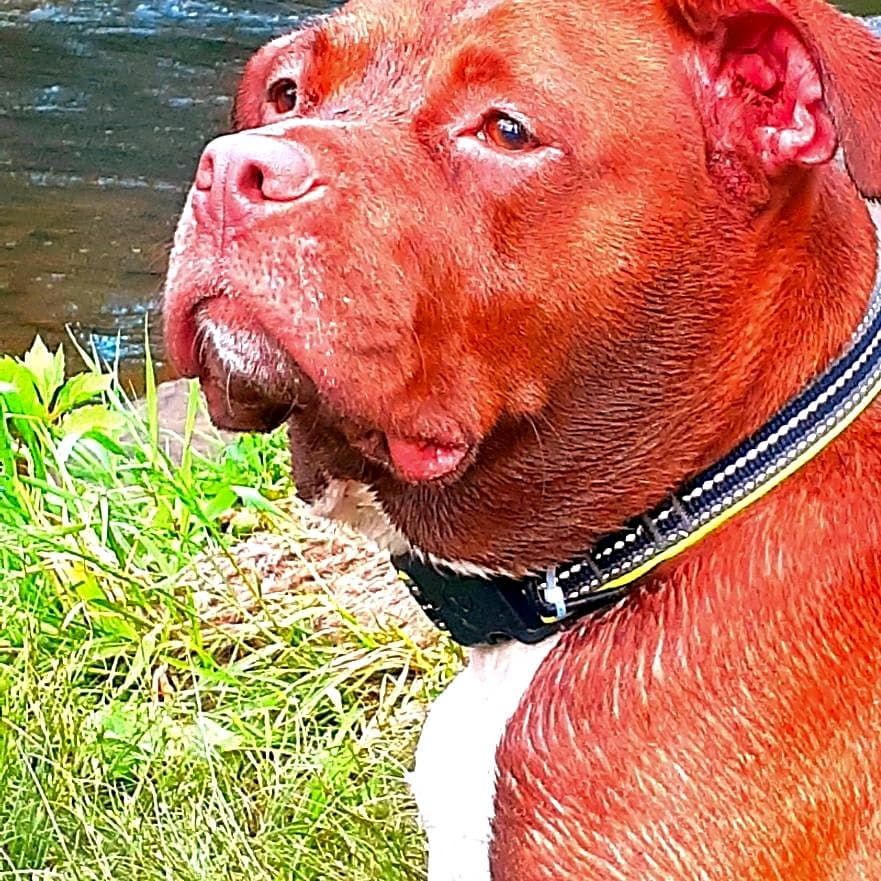 Photo of Georgia