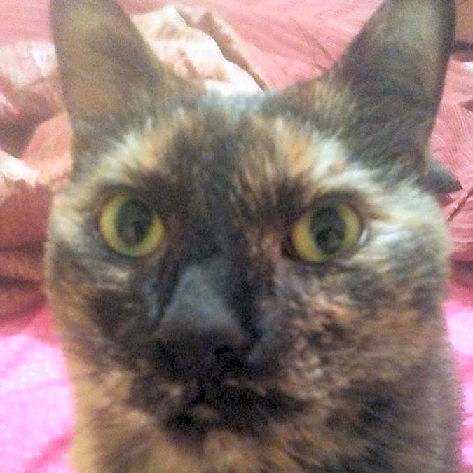 Photo of Skyler