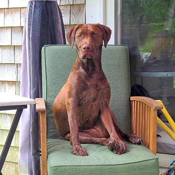 Photo of Isabelle