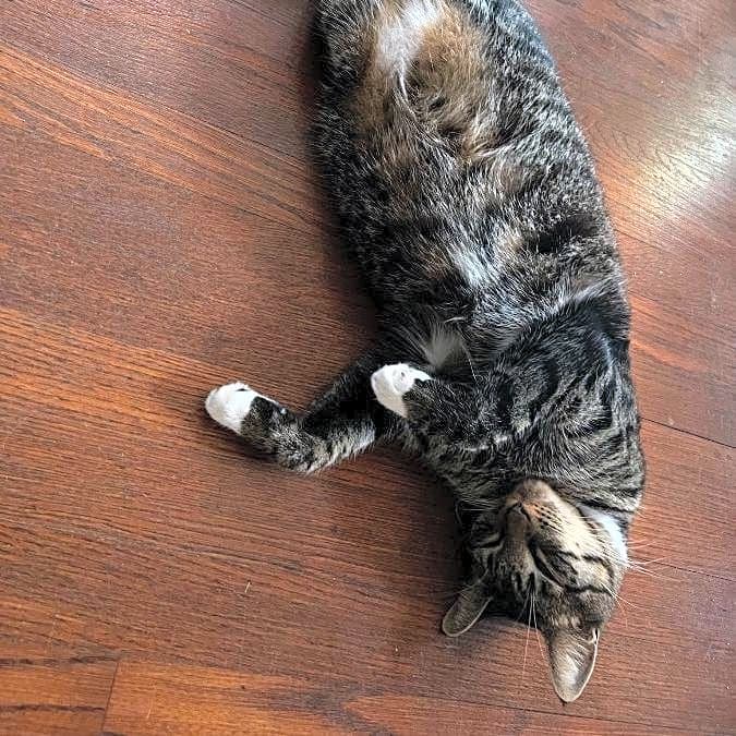 Photo of Bootsie