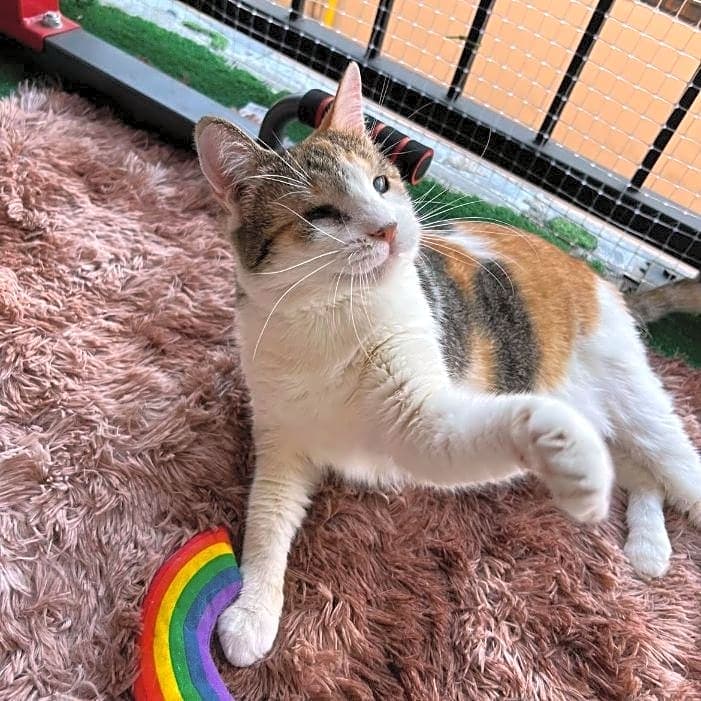Photo of Sookie