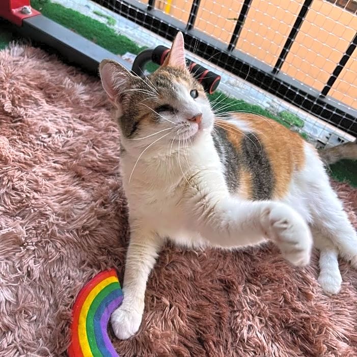 Photo of Sookie