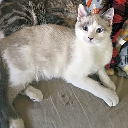 Photo of Twin