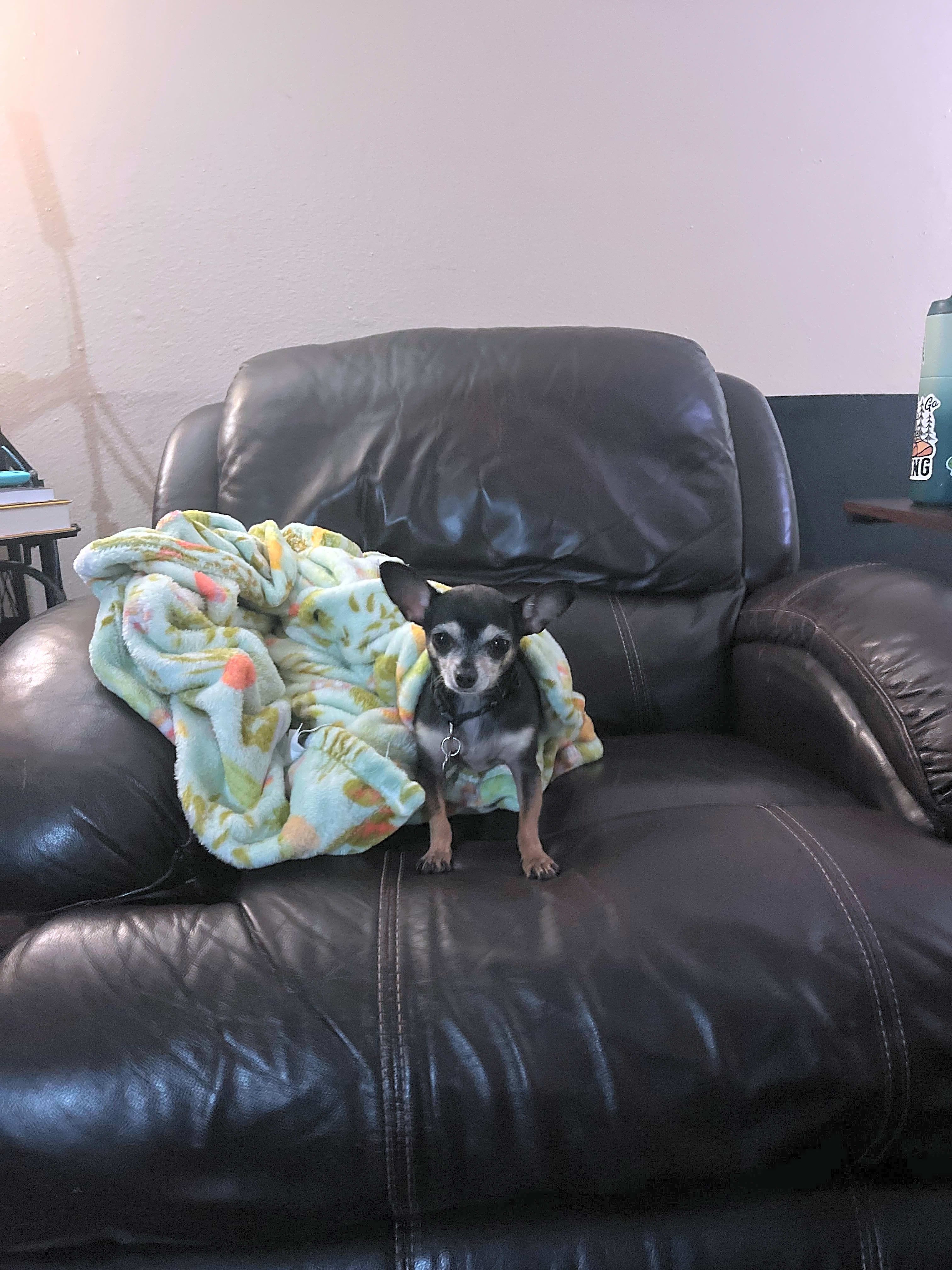 Photo of Frodo