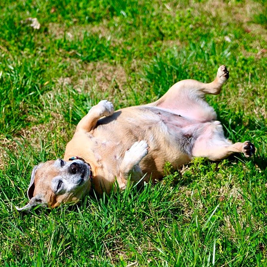Photo of Molly