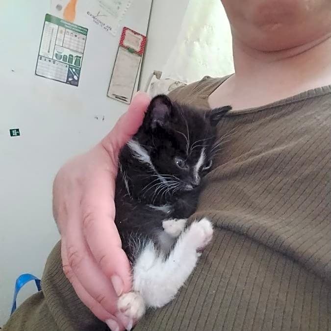 Photo of Minnie