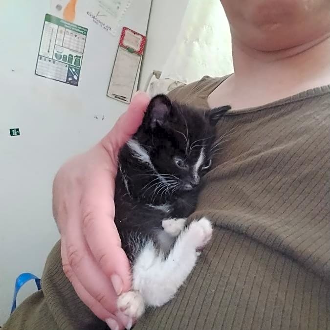 Photo of Minnie