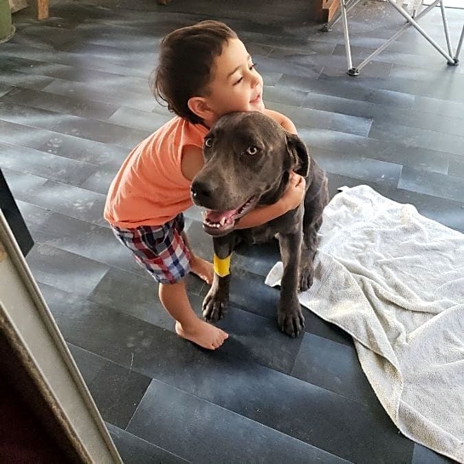 Photo of arlo&oakley