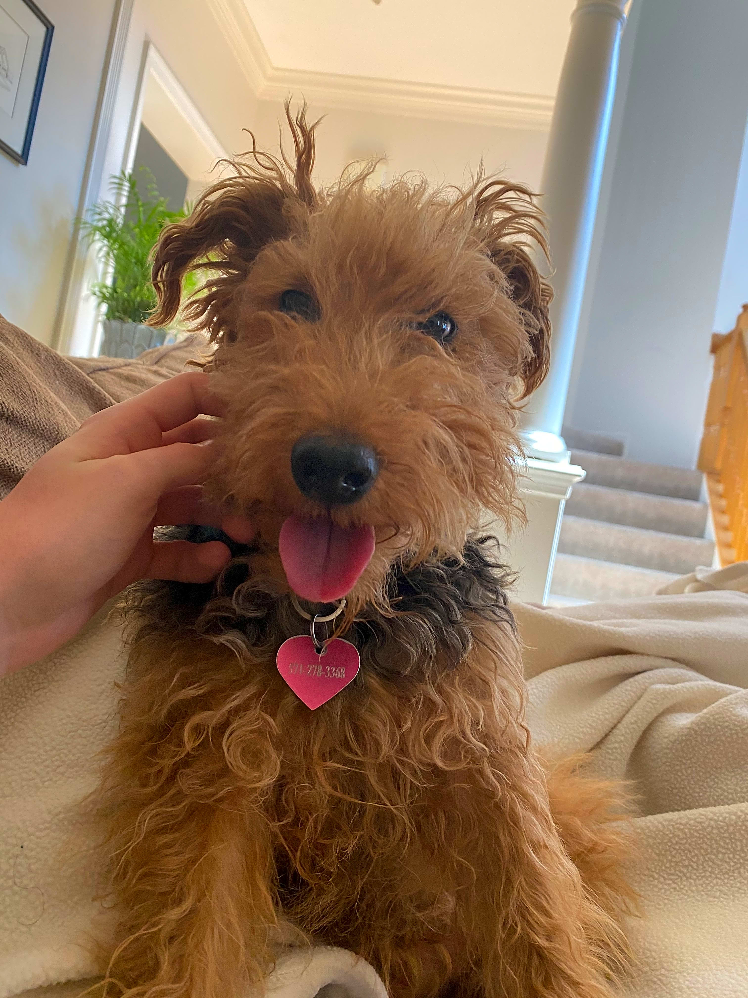 Photo of Rori