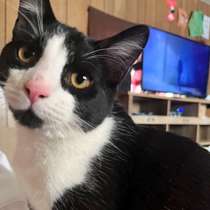 Photo of Whiskey