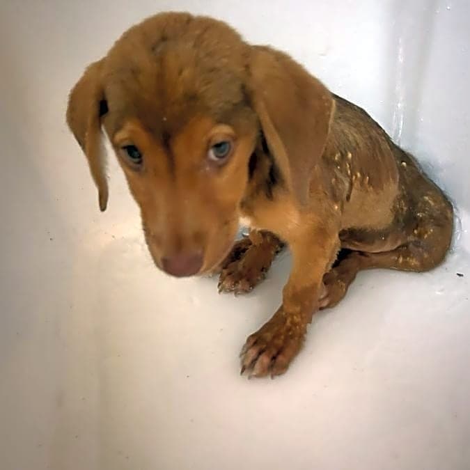 Photo of Emersyn