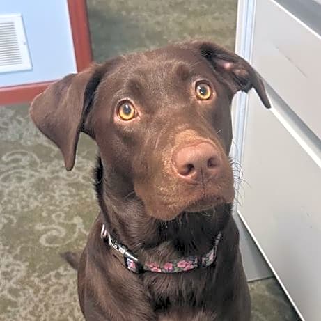 Photo of Mollie
