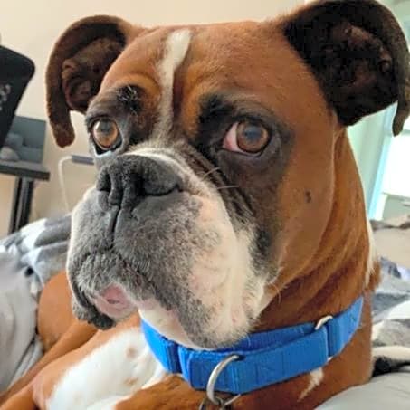 Photo of Zeus