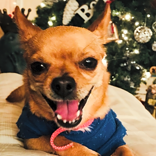 Photo of Simone